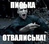 Аватар пользователя