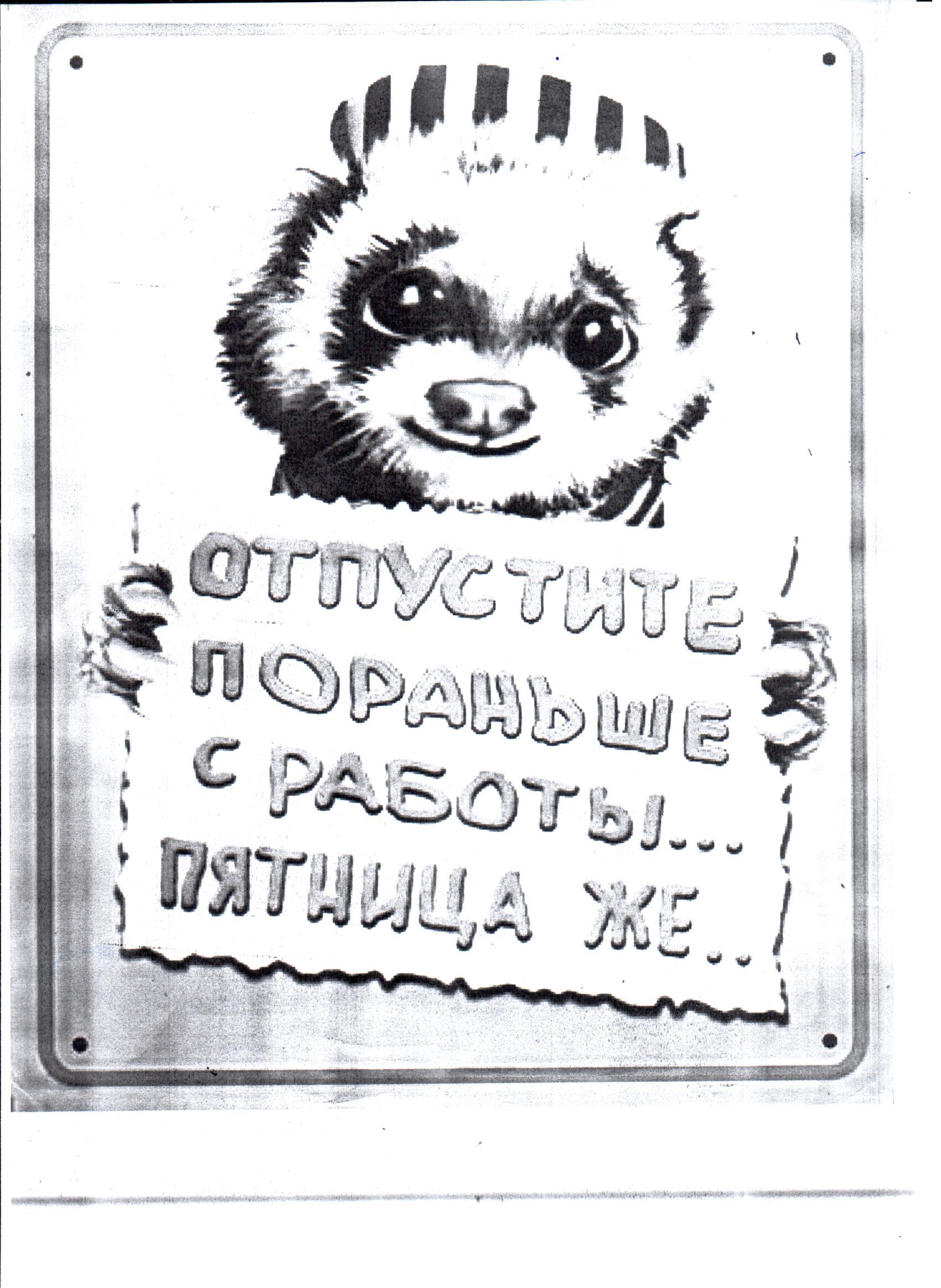 olea u.jpg