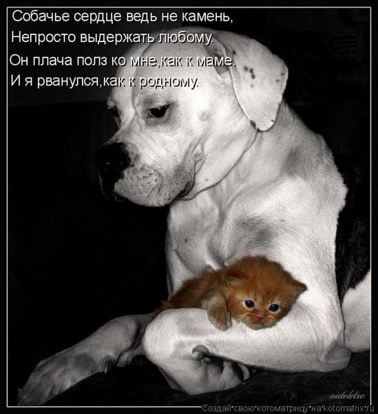 _2_~1.JPG