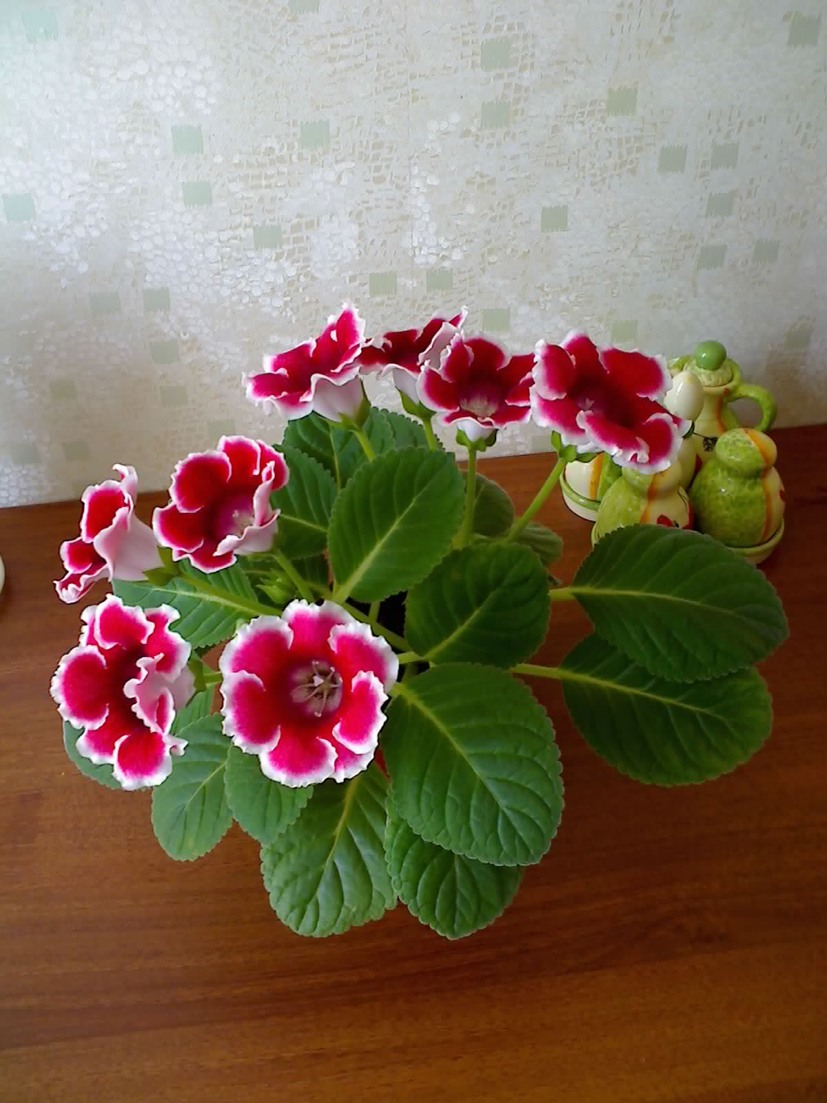 16-07-09_1409.jpg