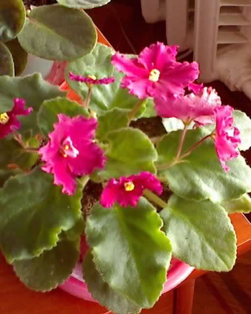 27-03-09_1135.jpg