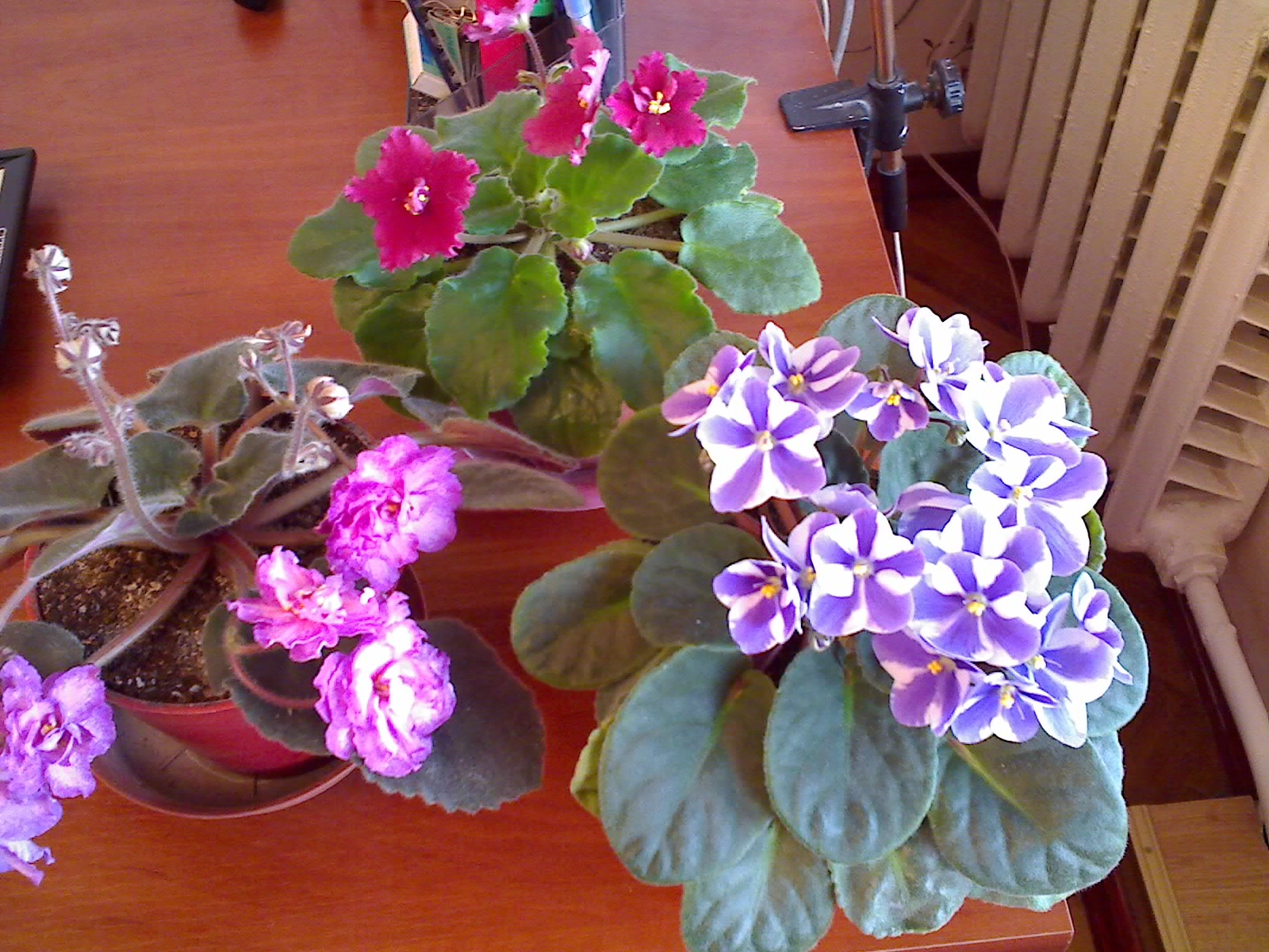 21-03-09_1553.jpg