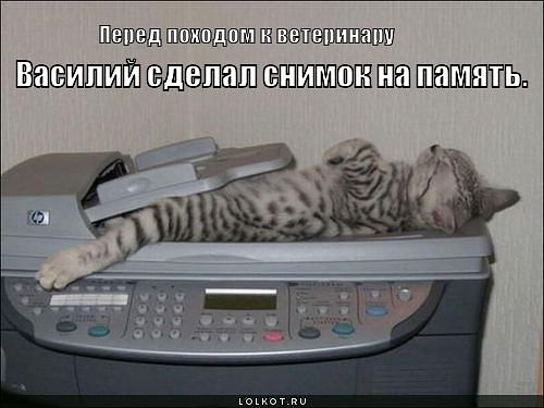 getImageCAWQUNB8.jpg