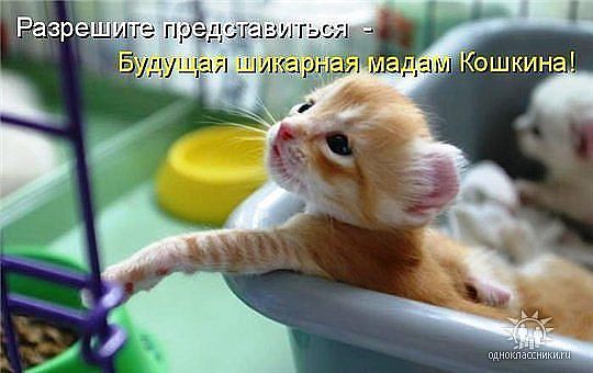 getImageCAP1P7L2.jpg