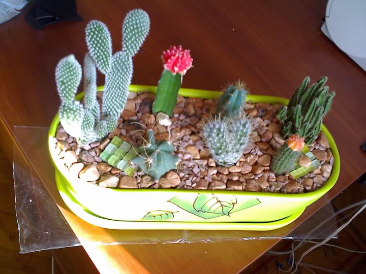 11-03-09_1403.jpg