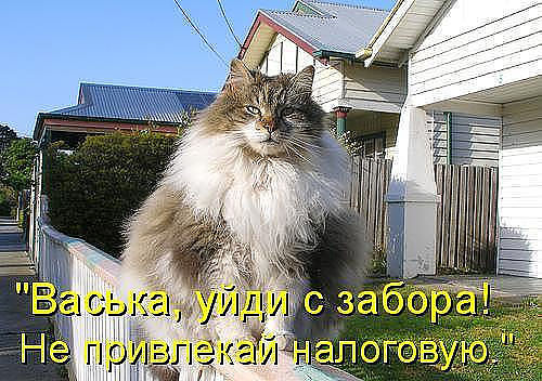 .jpg