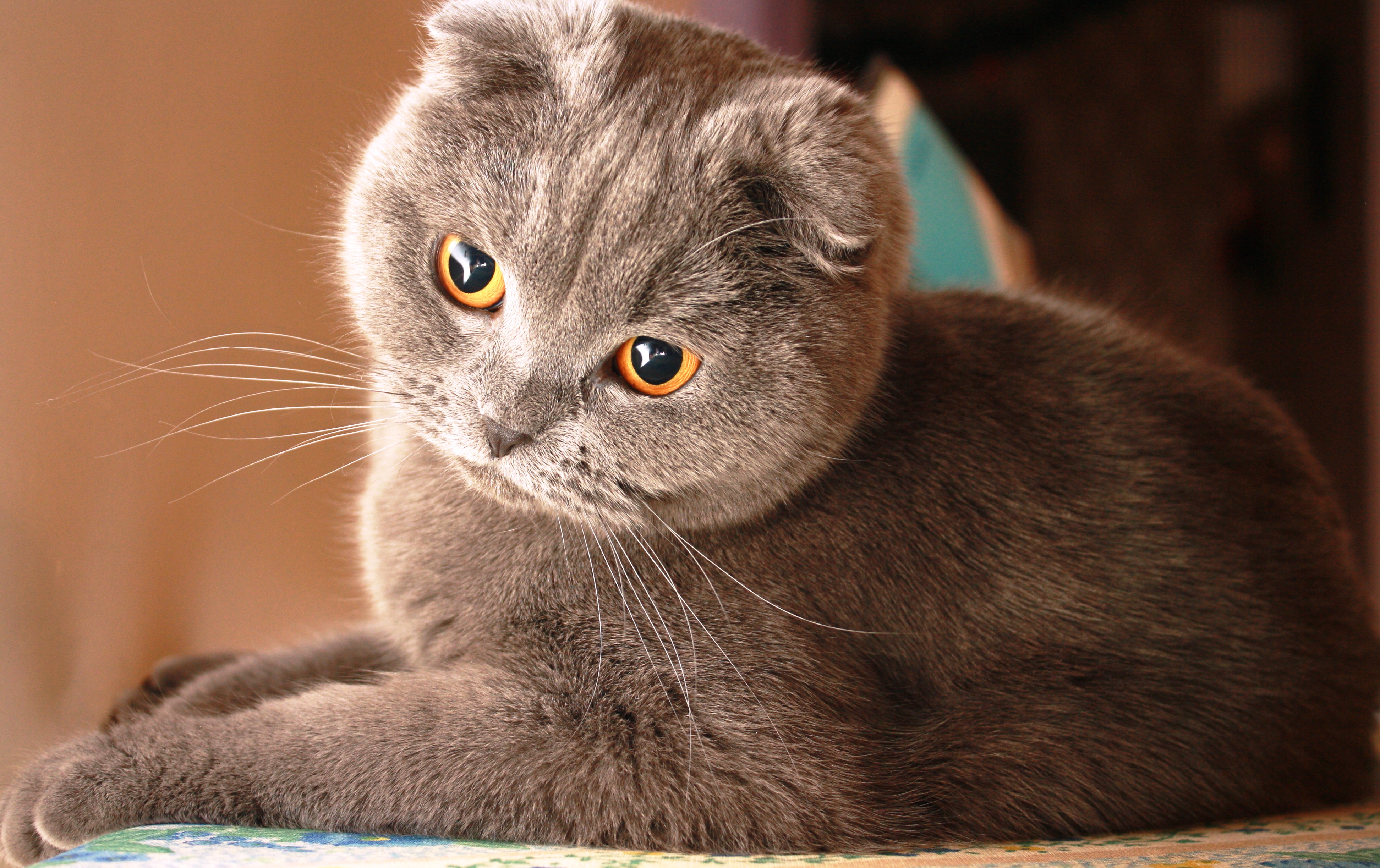 09-01-2011 00103.jpg