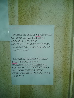 20130130_144954.jpg