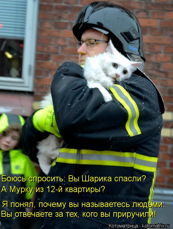 kotomatritsa_CS.jpg