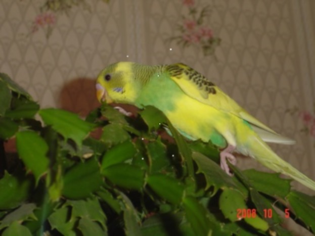 DSC00122.JPG