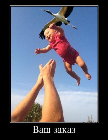 getImage (1).jpg