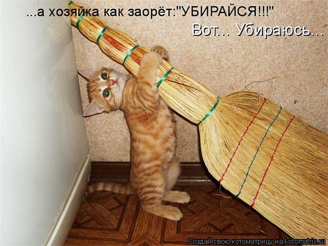 foto1.jpg