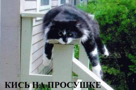 1351342668_na-prosushke.jpg