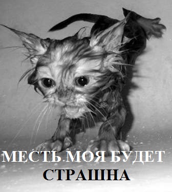 1354603235_mest-moya-budet-strashna.jpg