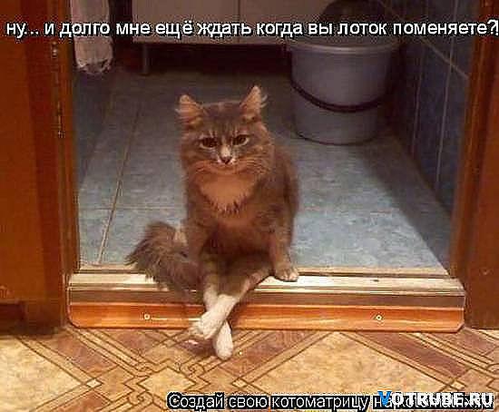 smeshnie_kartinki_1366822466240420131438.jpg