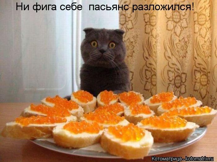 1349423541_kotomatrix_30.jpg