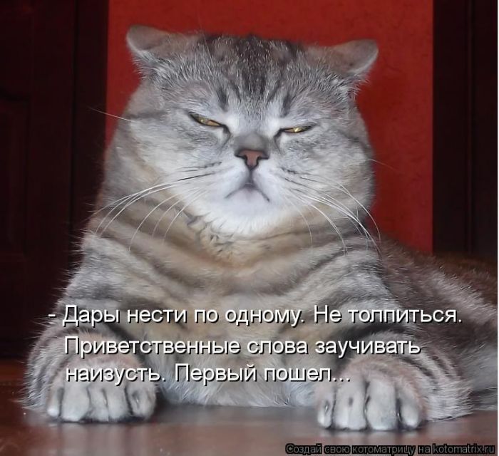 1355474333_kotomatrix_18.jpg