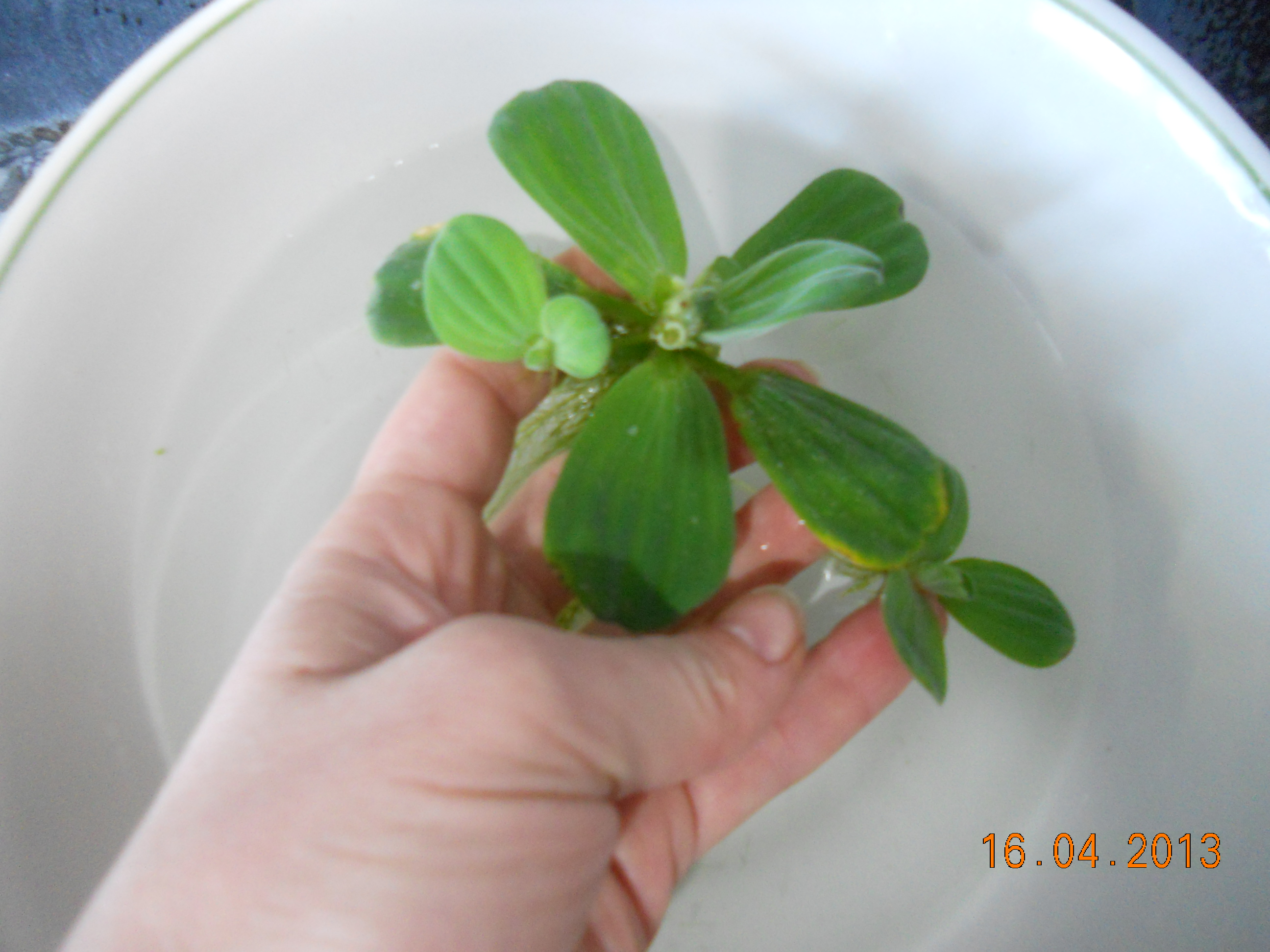 DSCN4074.JPG