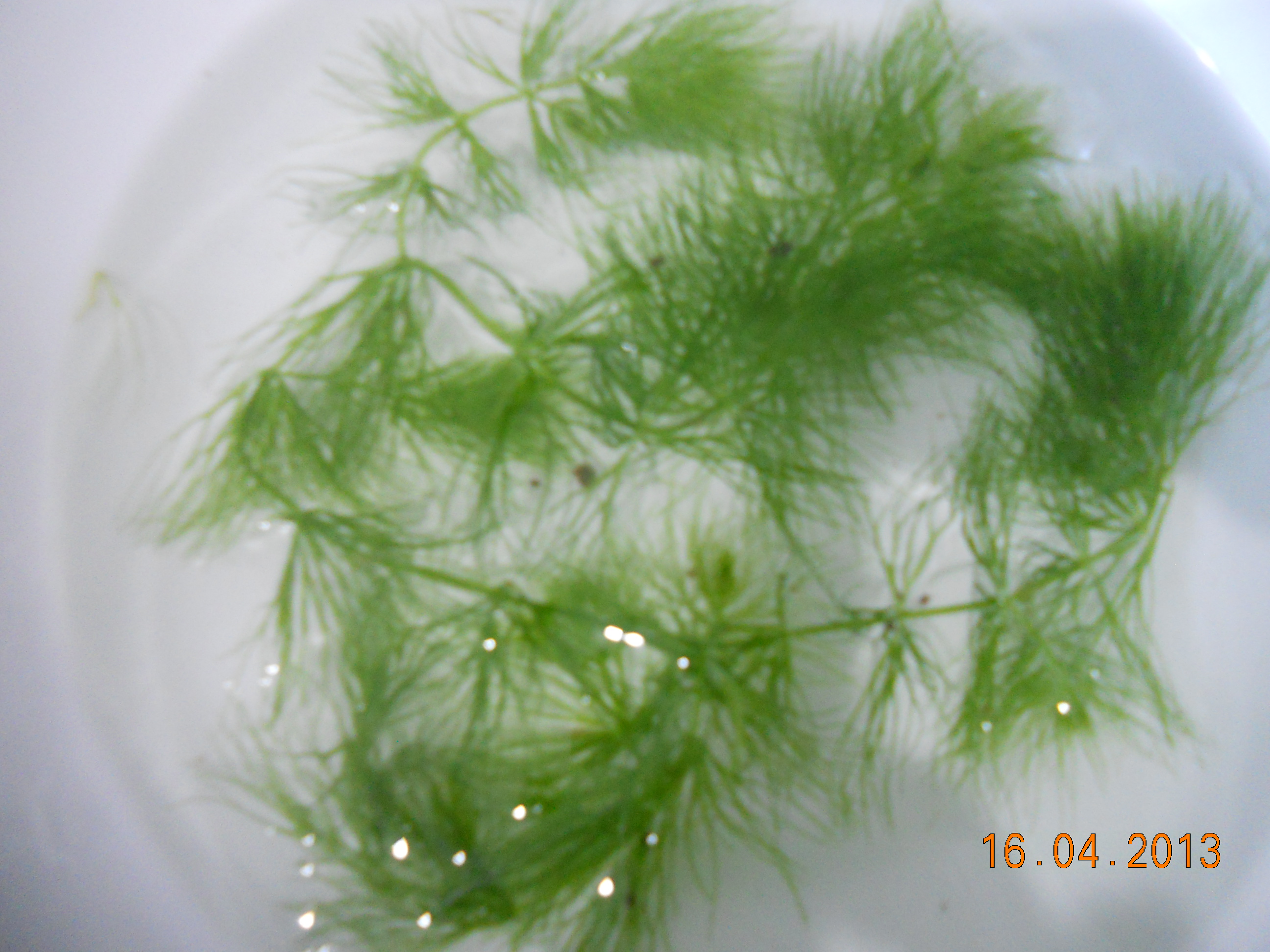 DSCN4077.JPG