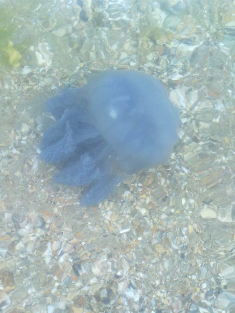 2607201330.2.jpg