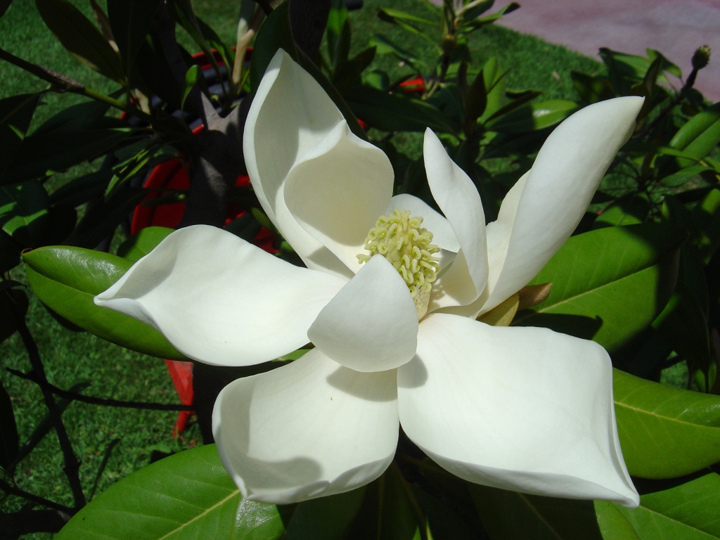 DSC06991-1.jpg
