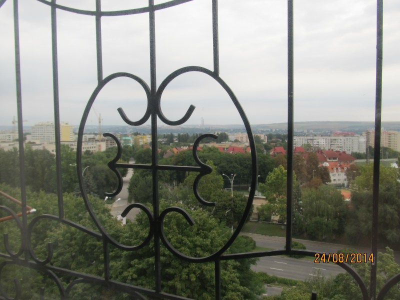 IMG_1617.jpg