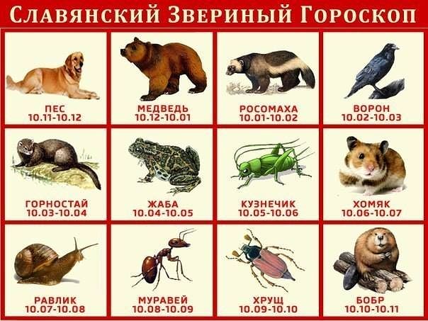 image (5).jpg