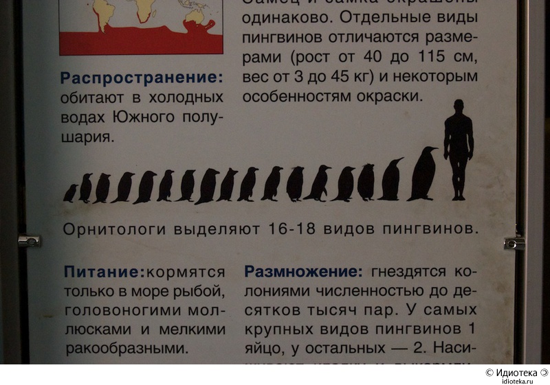 .jpg