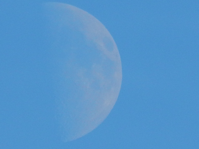 DSCN6785.JPG