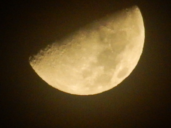 DSCN6801.JPG