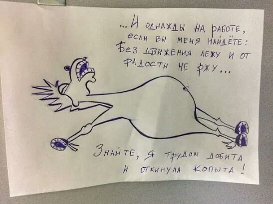 FB_IMG_1482139829241.jpg