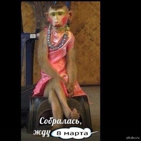 8 marta.jpg