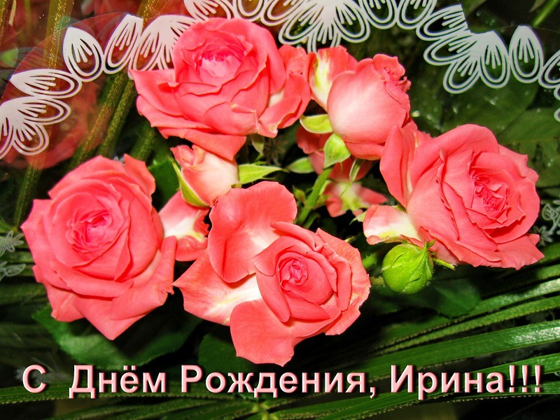 359824_60068.jpg