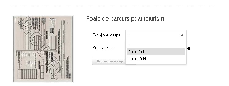 foaie de parcurs.jpg