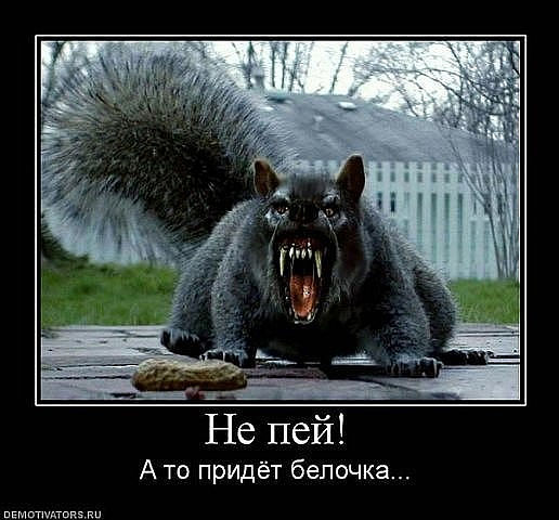 getImage.jpegор.jpeg